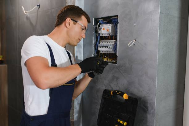 Best 24-Hour Electrician  in Danvers, IL